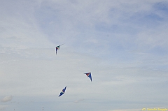 Venice kite festival_0549